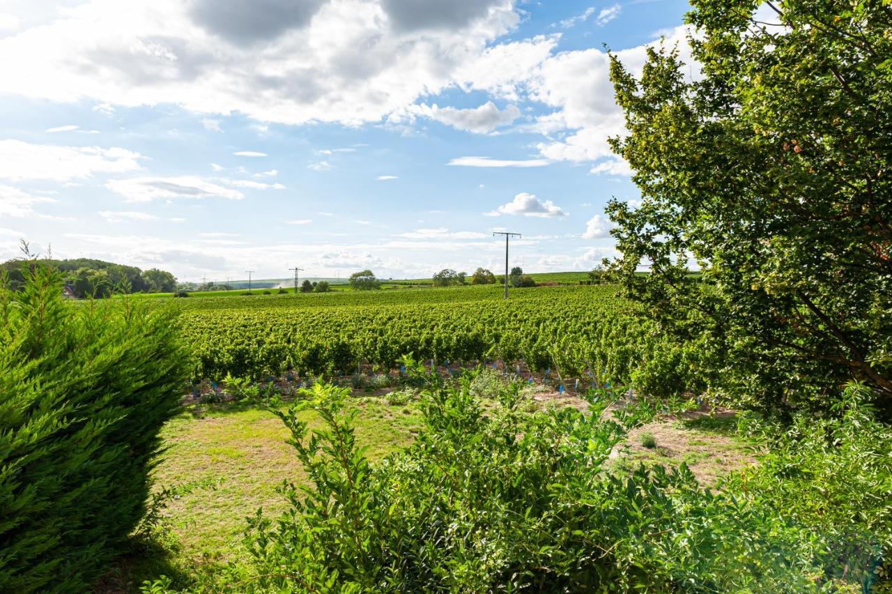 Landgut Schill Osthofen Exterior foto