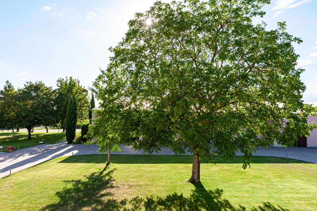 Landgut Schill Osthofen Exterior foto